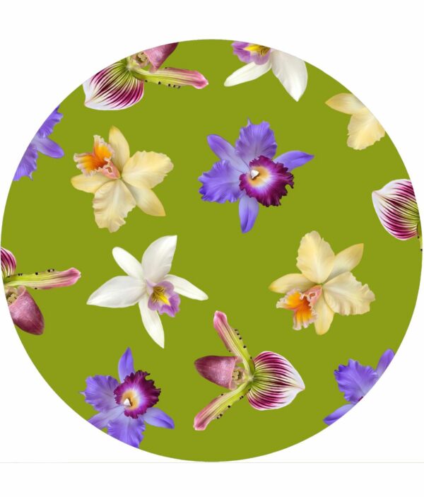 Orchidee Verde Kiwi